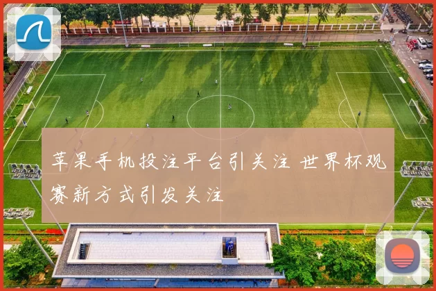 苹果手机投注平台引关注 世界杯观赛新方式引发关注