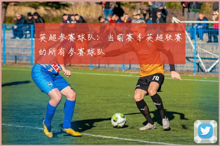 英超参赛球队：当前赛季英超联赛的所有参赛球队