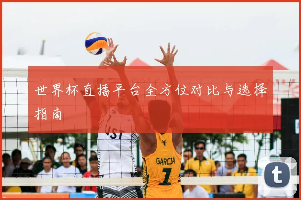 世界杯直播平台全方位对比与选择指南