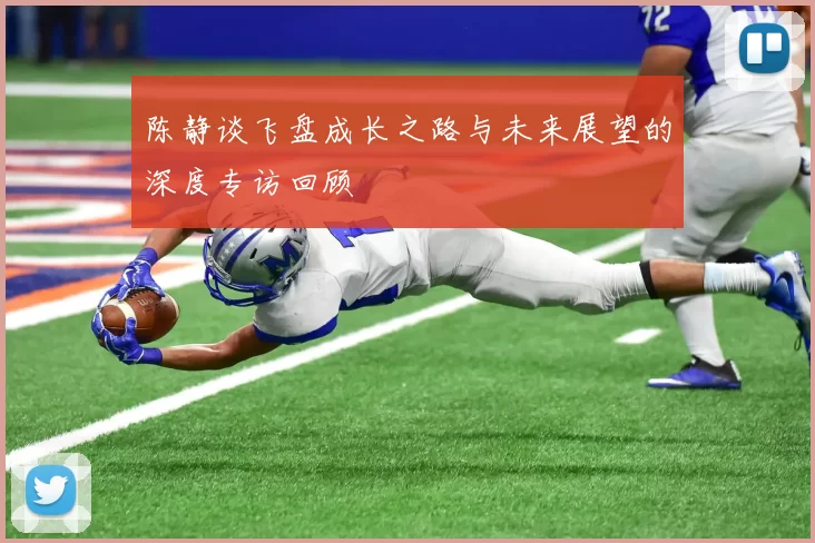 陈静谈飞盘成长之路与未来展望的深度专访回顾