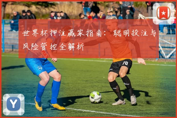 世界杯押注赢家指南:聪明投注与风险管控全解析