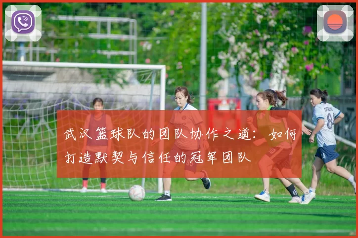 武汉篮球队的团队协作之道：如何打造默契与信任的冠军团队
