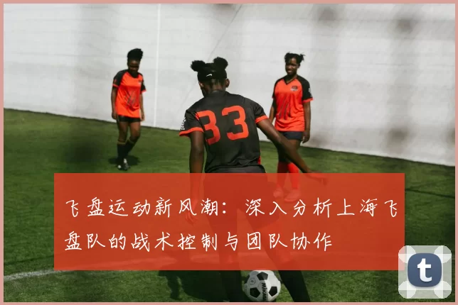 飞盘运动新风潮：深入分析上海飞盘队的战术控制与团队协作