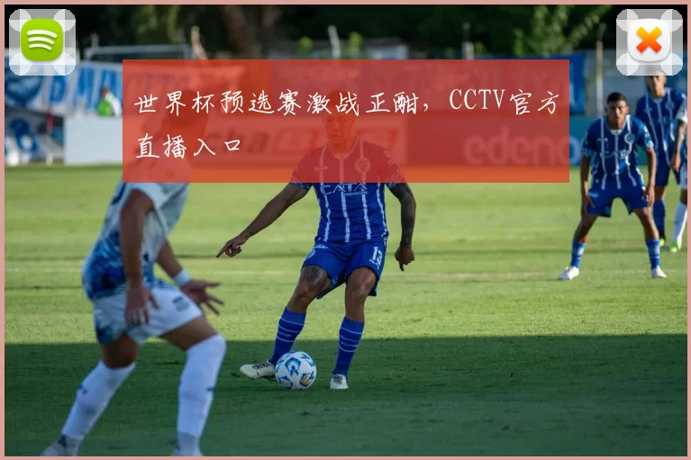 世界杯预选赛激战正酣,CCTV官方直播入口