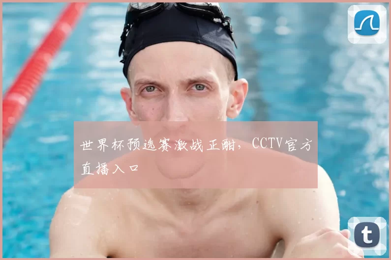 世界杯预选赛激战正酣,CCTV官方直播入口
