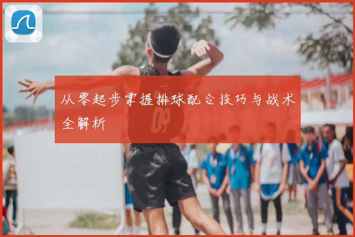 从零起步掌握排球配合技巧与战术全解析