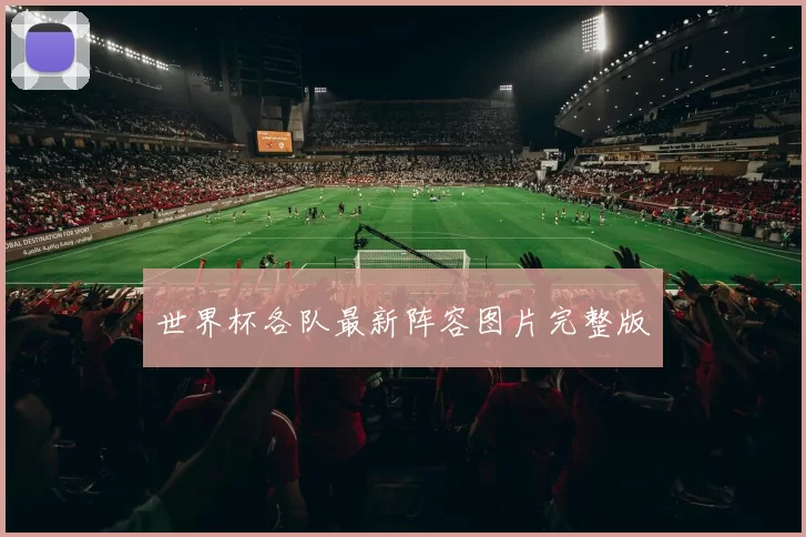 世界杯各队最新阵容图片完整版
