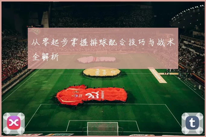 从零起步掌握排球配合技巧与战术全解析