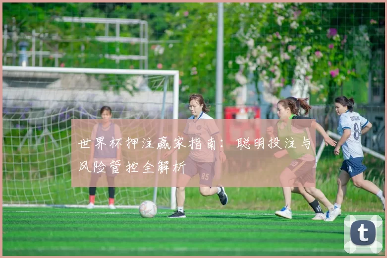 世界杯押注赢家指南：聪明投注与风险管控全解析