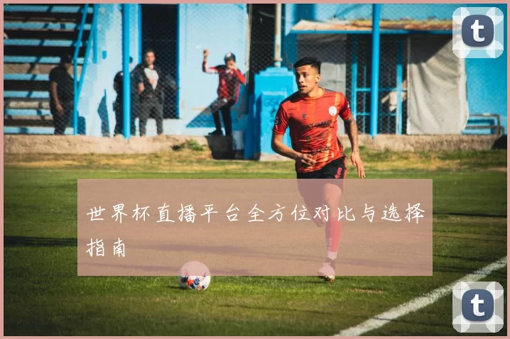 世界杯直播平台全方位对比与选择指南