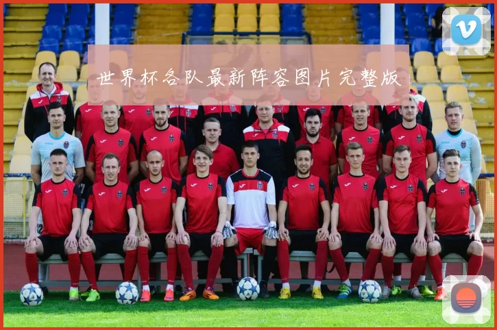 世界杯各队最新阵容图片完整版