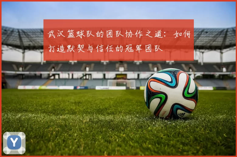 武汉篮球队的团队协作之道：如何打造默契与信任的冠军团队